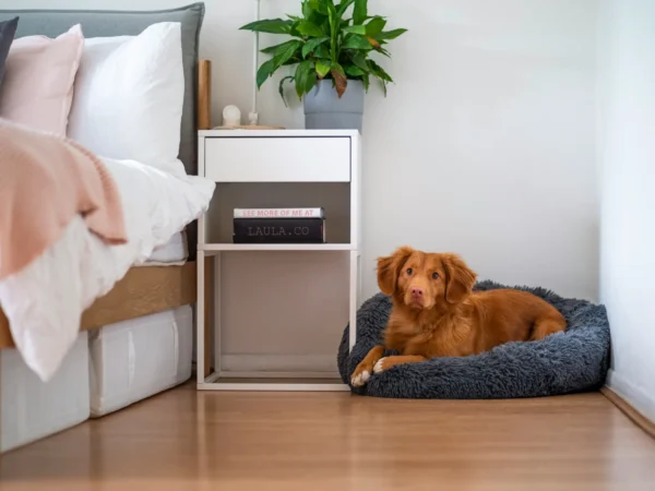 Protect Your Floors with Simple Habits in Cape Coral Protect Your Floors with Simple Habits in Cape Coral